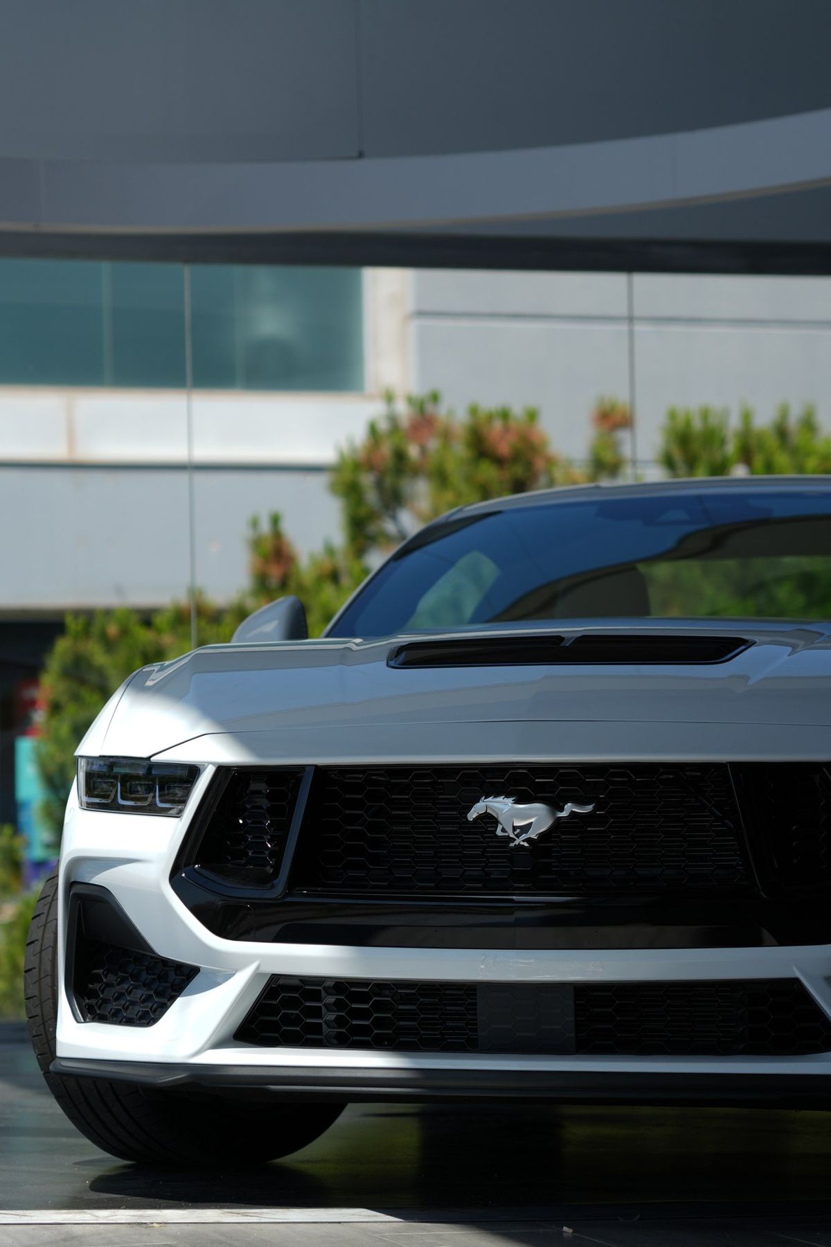 Frontal del Ford Mustang plateado